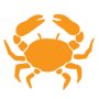Cancer icon